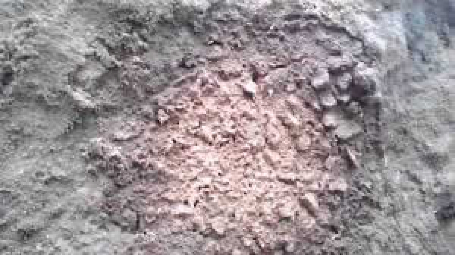 Cupim de concreto Campinas