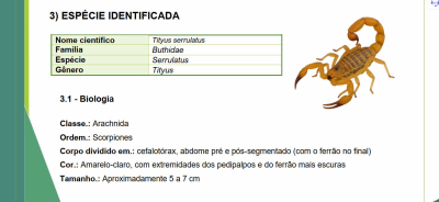 Laudo Profissional de Identificação de Espécies de Insetos – Manejo Controle de Pragas